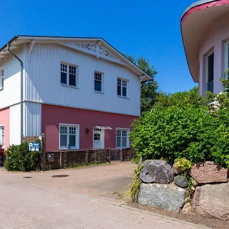 Muschel 3