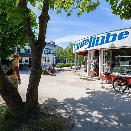 Muschel 3 * Ahrenshoop