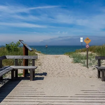 Muschel 3 * Ahrenshoop